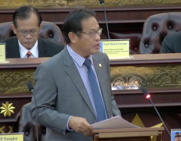 SNDB kenal pasti kawasan berpotensi tanaman rumbia