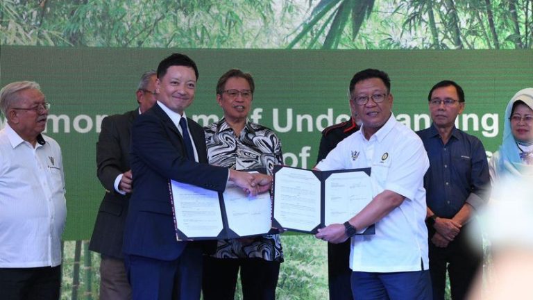 Sarawak sasar bangunkan 10,000 hektar ladang buluh komersial menjelang 2030