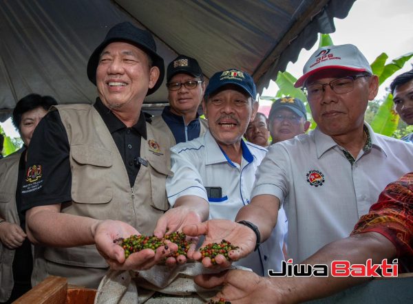 Penanaman lada guna kaedah IoT bakal diperkenal di Sarawak