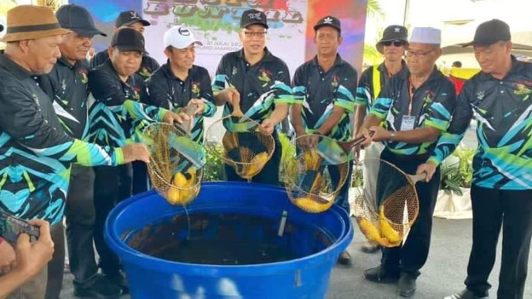 Permohonan masukkan Pesta Ikan Buntal Kampung Mangut dalam kalendar pelancongan
