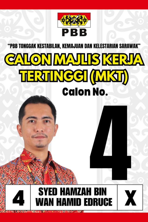Orang muda perlu berada dalam parti – Syed Hamzah
