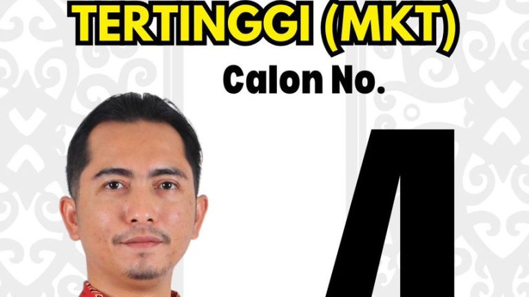 Orang muda perlu berada dalam parti – Syed Hamzah