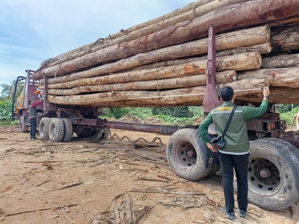 Jabatan Hutan nafi wujud pembalakan haram di Saratok
