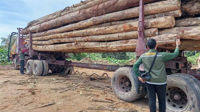 Jabatan Hutan nafi wujud pembalakan haram di Saratok