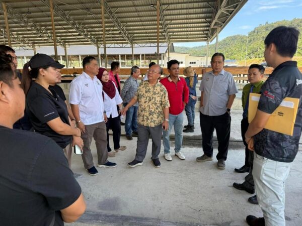 Lawas berpotensi jadi hab keju susu kerbau terbesar