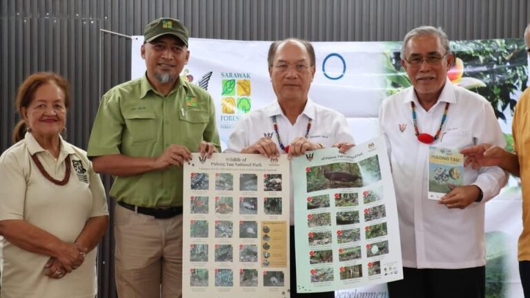 Sarawak sasar capai 30 peratus kawasan hutan dilindungi menjelang 2030