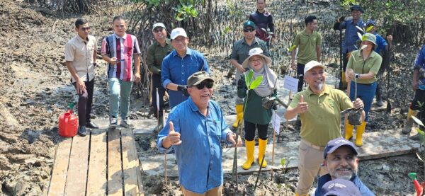 SFC, Mubadala Energy pulihkan kawasan paya bakau, tanam 2,000 pokok