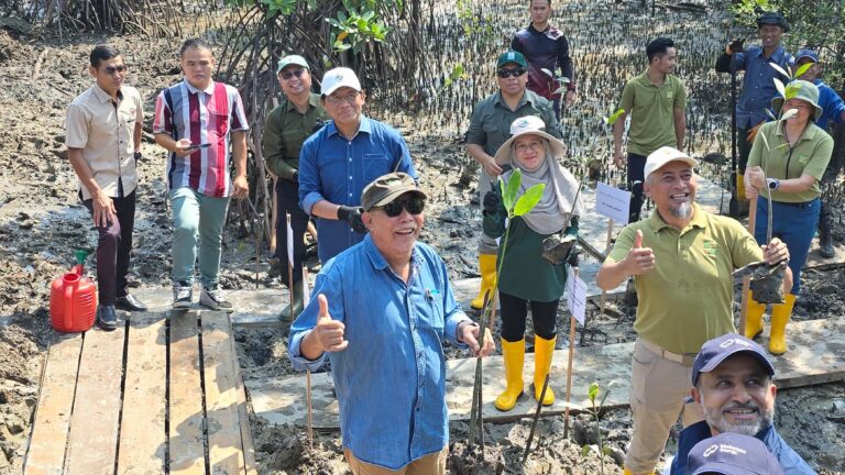 SFC, Mubadala Energy pulihkan kawasan paya bakau, tanam 2,000 pokok