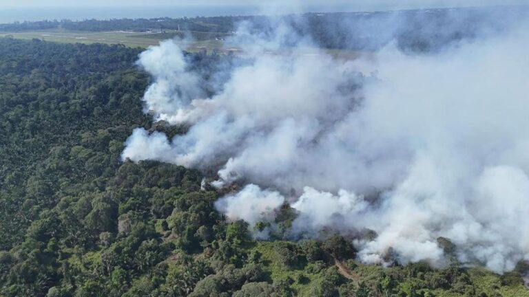 Lebih 230 anggota pelbagai agensi, penduduk kampung bantu padam kebakaran kawasan kebun