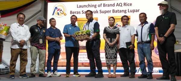 Sarawak guna teknologi pemindahan embrio beku dalam ternakan lembu