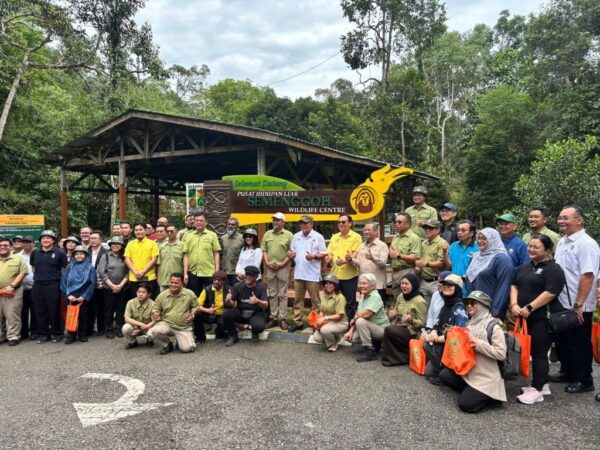 Sarawak perkukuhkan usaha pulihara Orang Utan