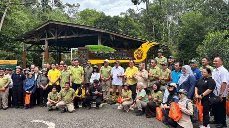 Sarawak perkukuhkan usaha pulihara Orang Utan