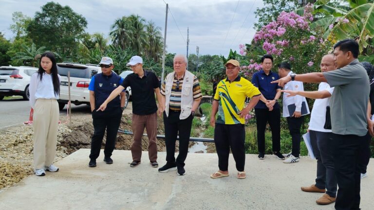 Limbang, Lawas berpotensi pusat tanaman padi komersial