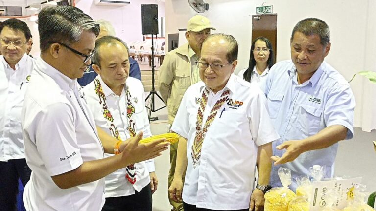 Rancangan jadikan Tanjung Sebekut pusat pengeluaran padi