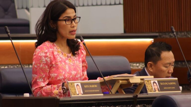 RUU Sewa Beli: Pemantauan berterusan lindungi pengguna – Rodiyah