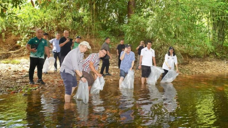 2,000 ekor anak ikan dilepas di Sungai Paku