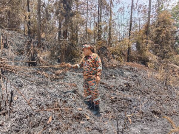 Bomba berjaya padamkan kebakaran hutan Ladang Keresa