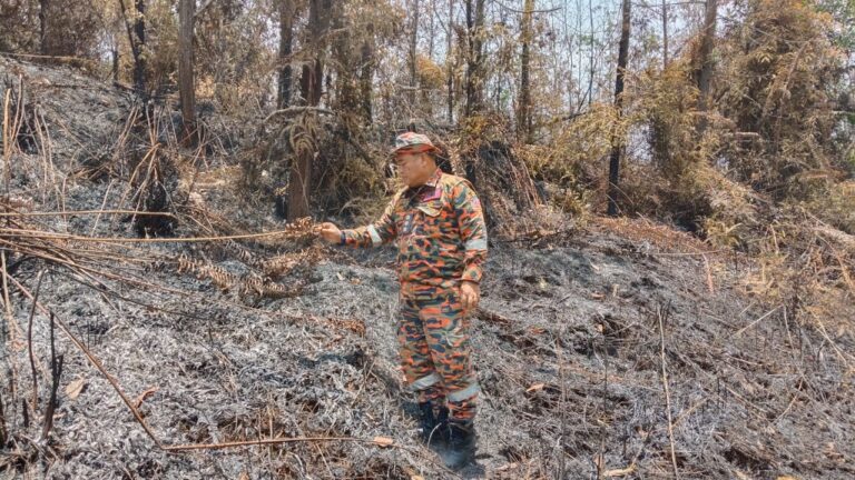 Bomba berjaya padamkan kebakaran hutan Ladang Keresa