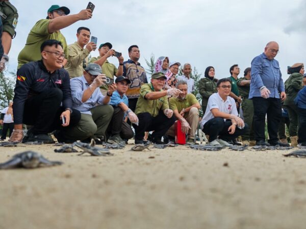 Pantai Pugu strategik bagi program pemuliharaan penyu