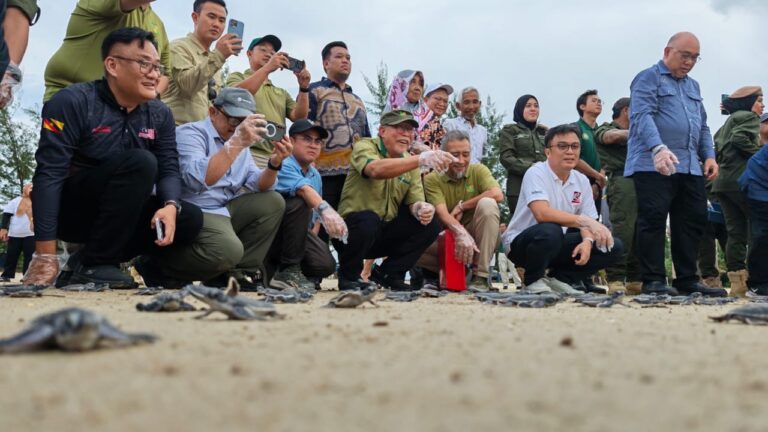 Pantai Pugu strategik bagi program pemuliharaan penyu