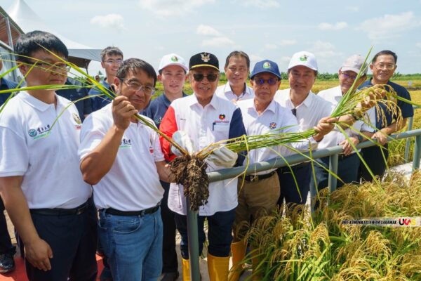 Padi Saka buka peluang kepada pelabur